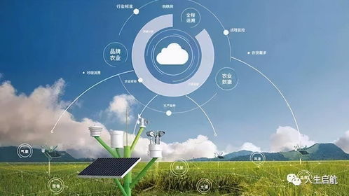 網絡技術開發專業就業前景盤點 揭秘未來職業發展方向